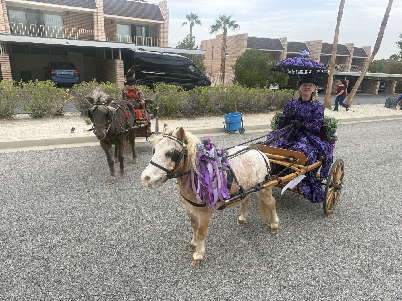 A miniature pony in purple ribbons pulling a small cart with a woman in a purple Victorian dress and parasol, a horse and rider behind